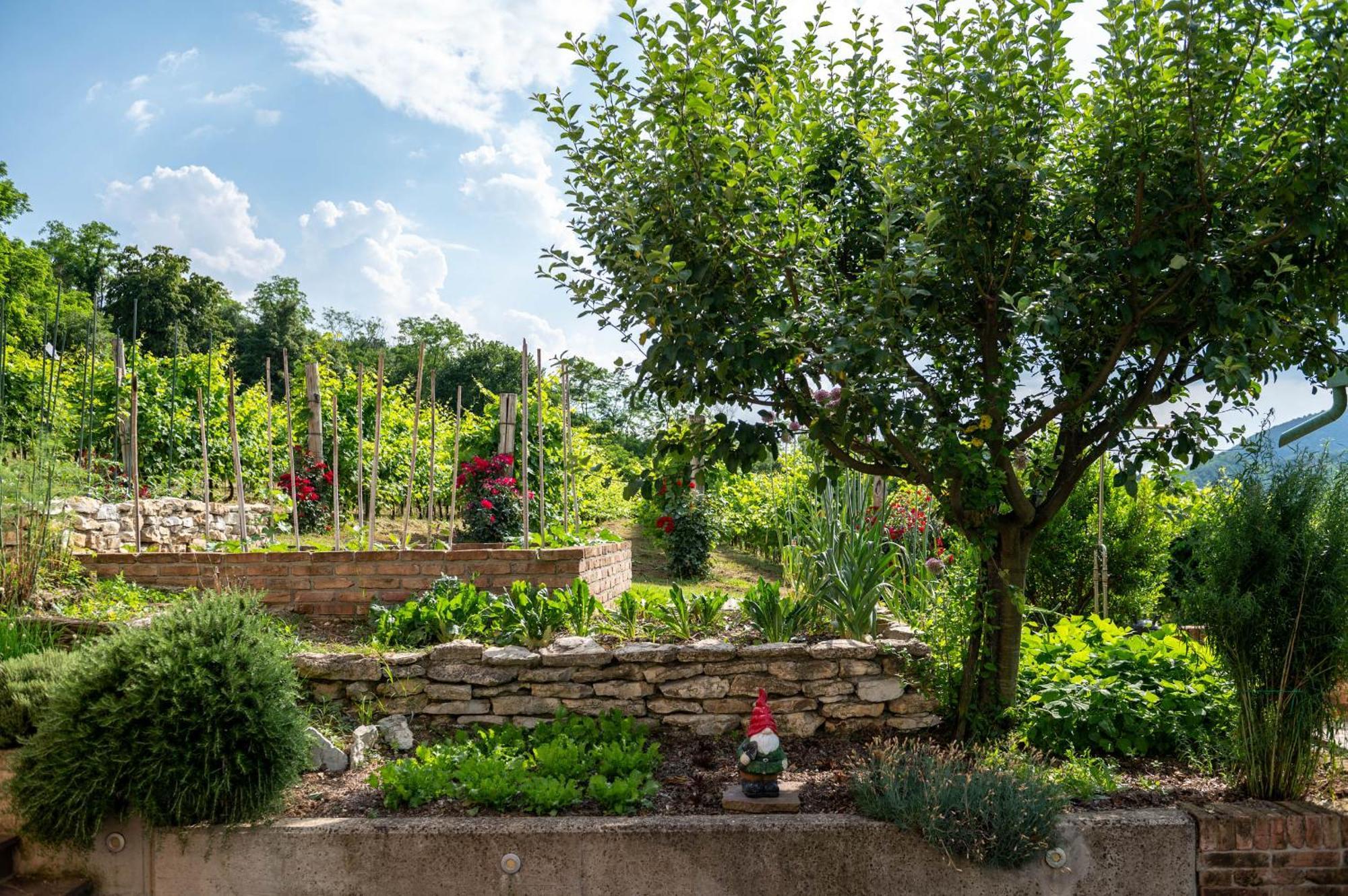 Agriturismo Terre Bianche Теоло Экстерьер фото