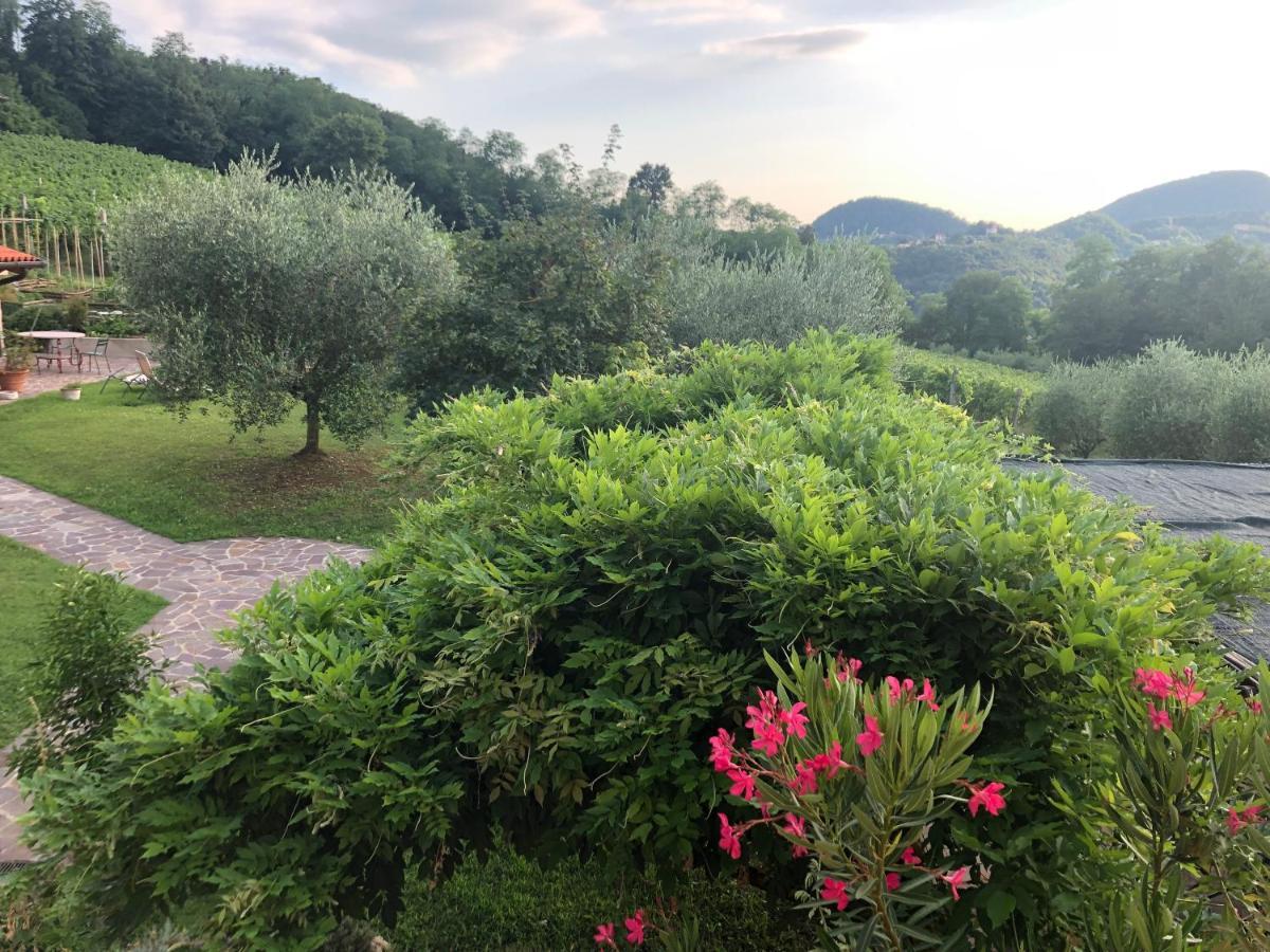 Agriturismo Terre Bianche Теоло Экстерьер фото
